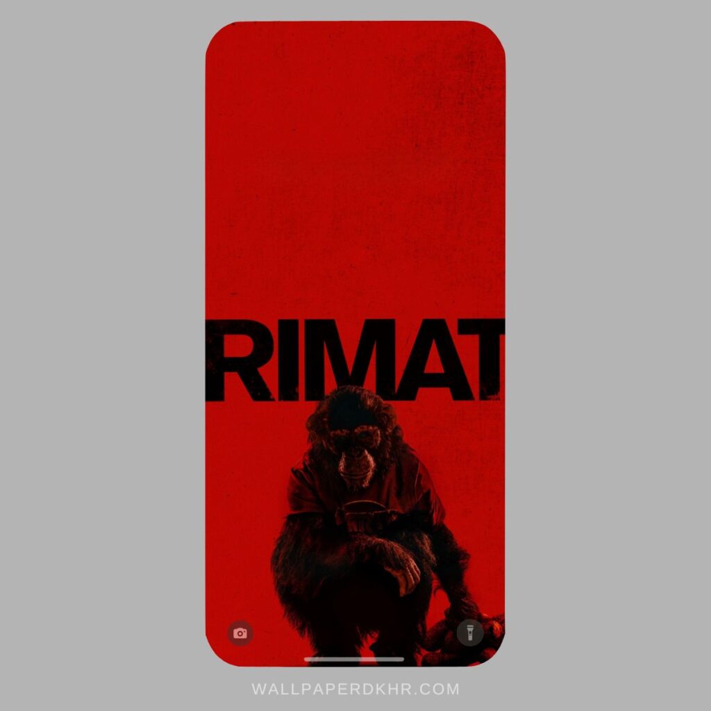 Primate Wallpaper