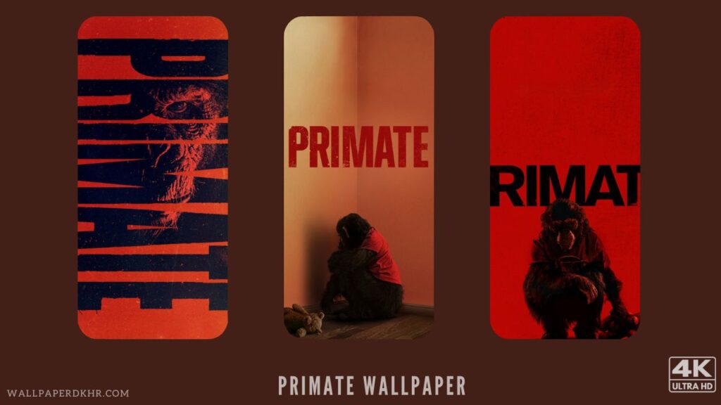Primate Wallpaper